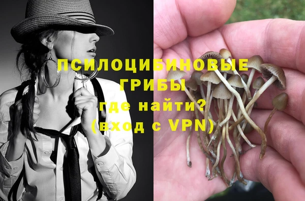mdpv Балахна