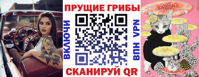Галлюциногенные грибы MAGIC MUSHROOMS  кракен ТОР  Отрадная 
